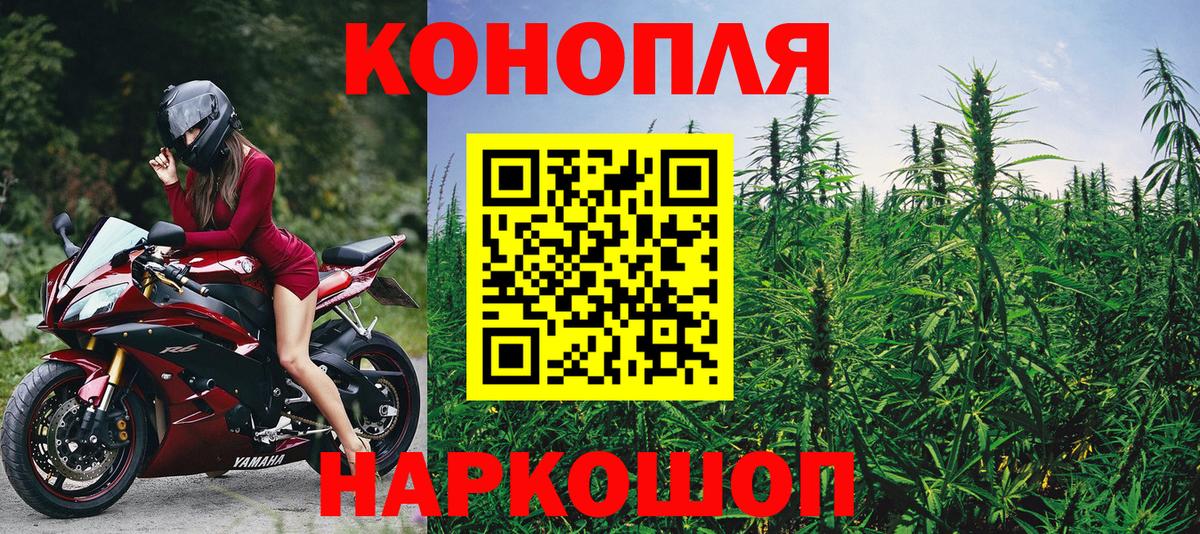 Марихуана OG Kush  Шишки марихуана AK-47  Вход с VPN  Великий Новгород  Шишки марихуана Ganja  Шишки марихуана OG Kush 
